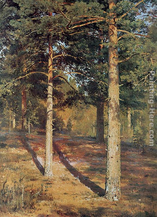 The Sun-lit Pines painting - Ivan Shishkin The Sun-lit Pines art painting